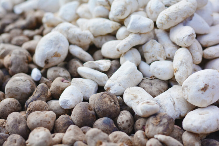Andean-Style Chuno Potato Preservation